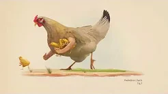 Coda | Everything evolves, even documents